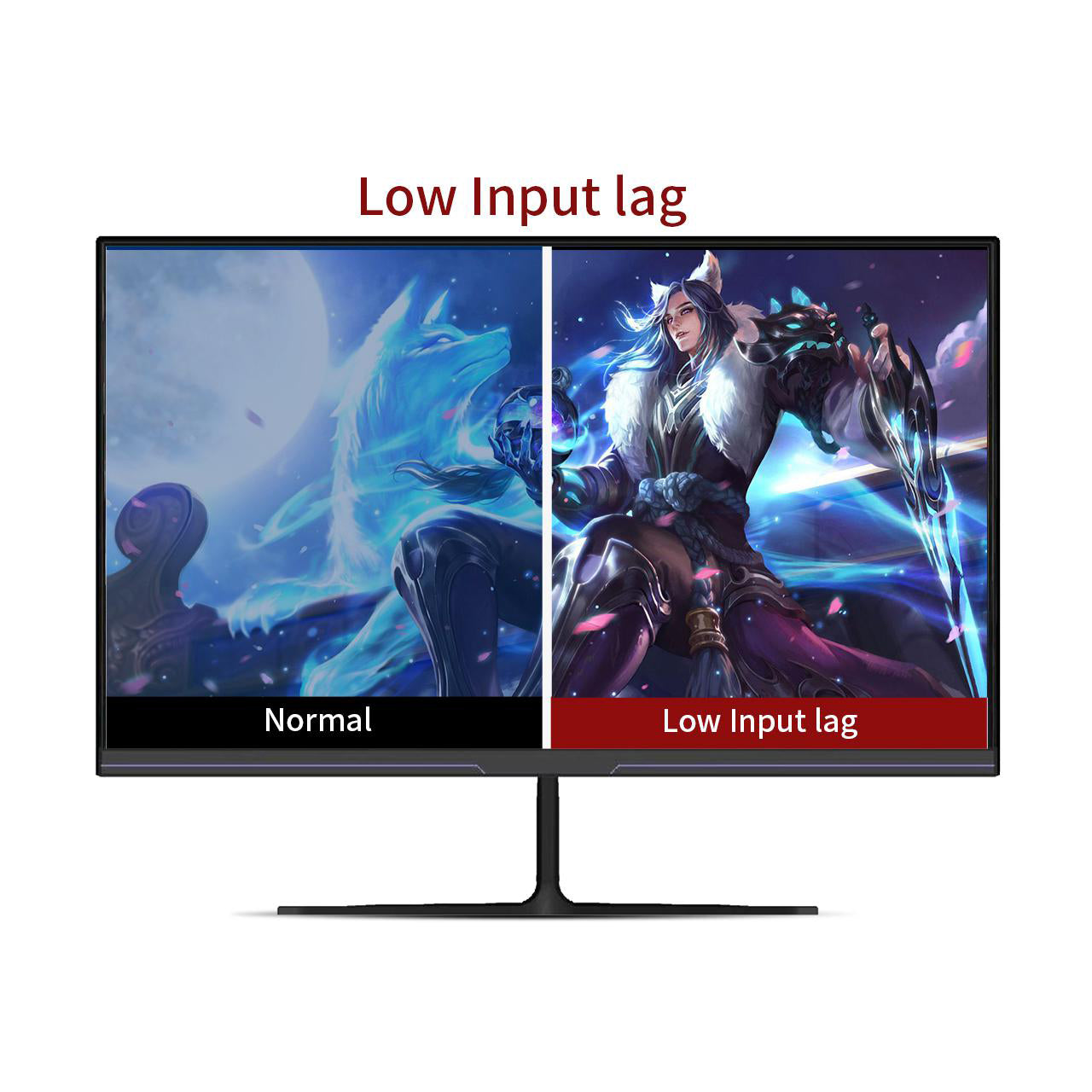 LUCKYFIVE 24 Inch 1080P 144Hz FHD IPS Flat Gaming Monitor Monitors Luckyfive   